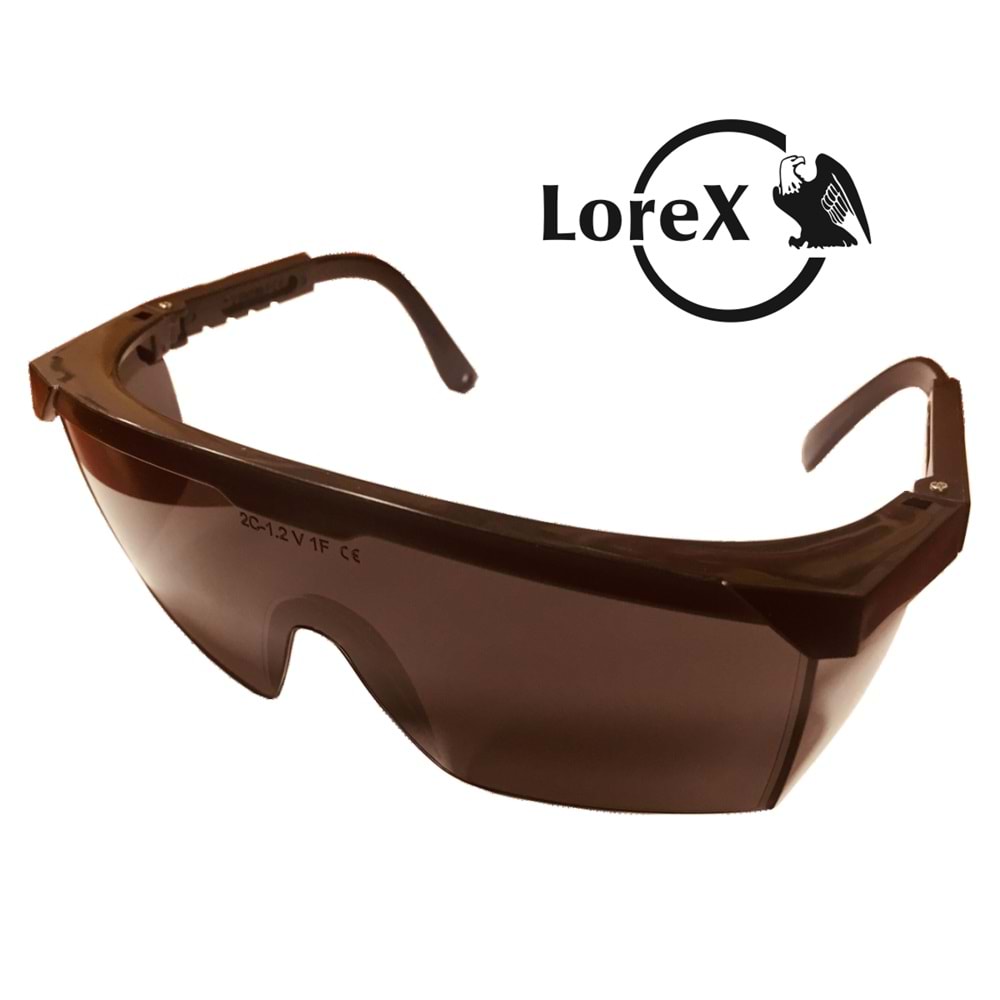 LOREX LR-2131FM Füme Klasik İş Gözlüğü